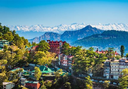 Shimla