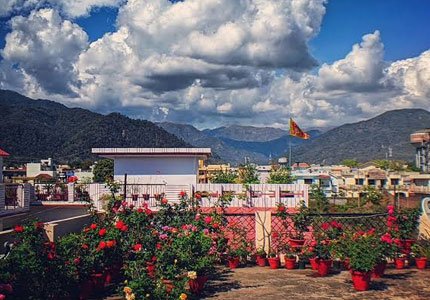 Haldwani