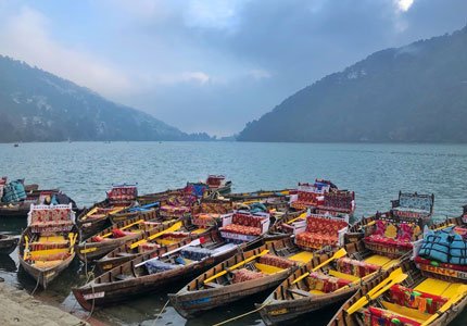 Jim Corbett National Park / Nainital