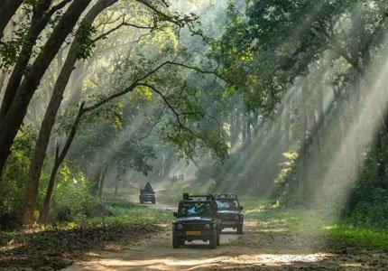 Jim Corbett National Park / Nainital